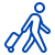 icons8-tourism-50